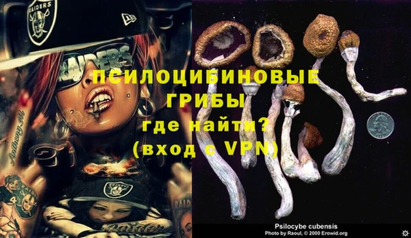 спиды Абаза