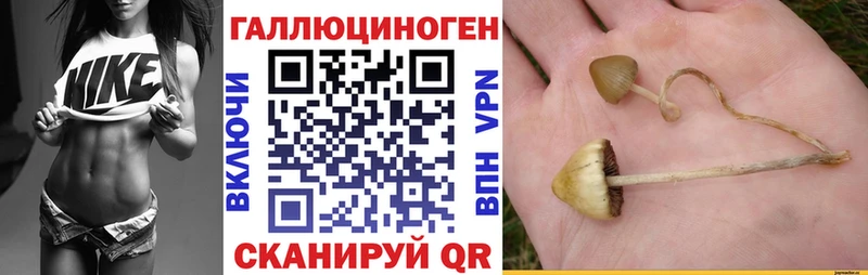 Псилоцибиновые грибы GOLDEN TEACHER  Мещовск 